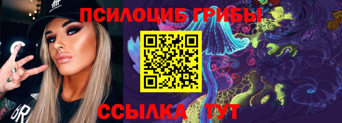 закладки  Псилоцибиновые грибы мицелий  Вход с VPN  Вичуга 
